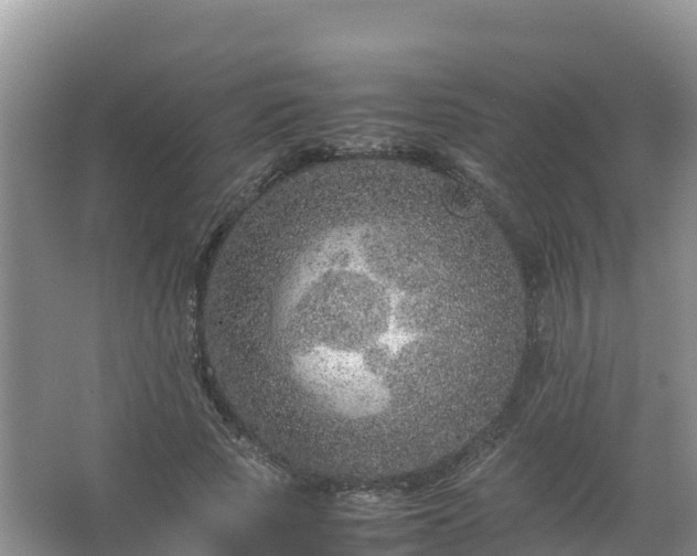 X0000067460737200604142324