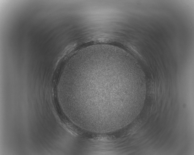 X0000067460738200604142324