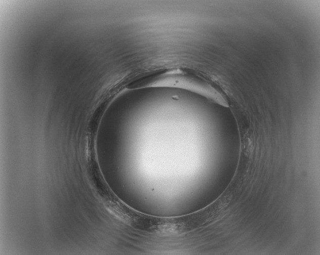 X0000067460740200604142324