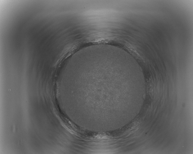 X0000067460742200604142324