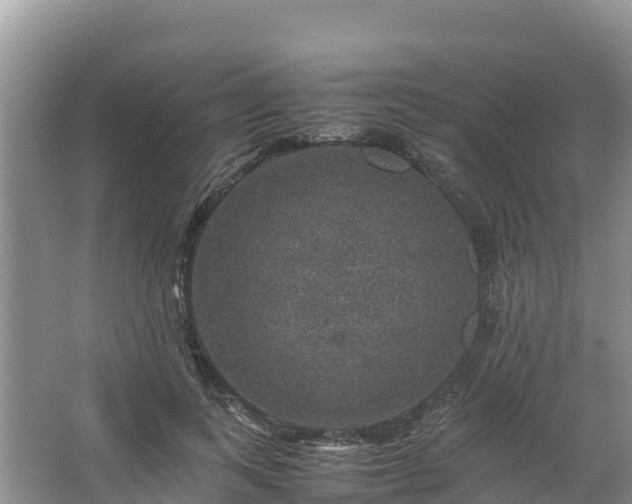 X0000067460743200604142324