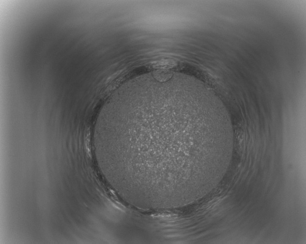 X0000067460745200604142324