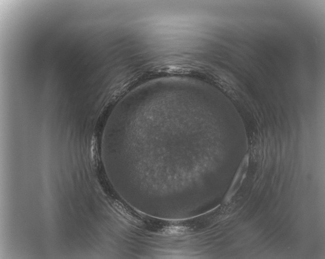 X0000067460748200604142324