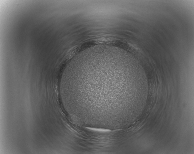 X0000067460749200604142324