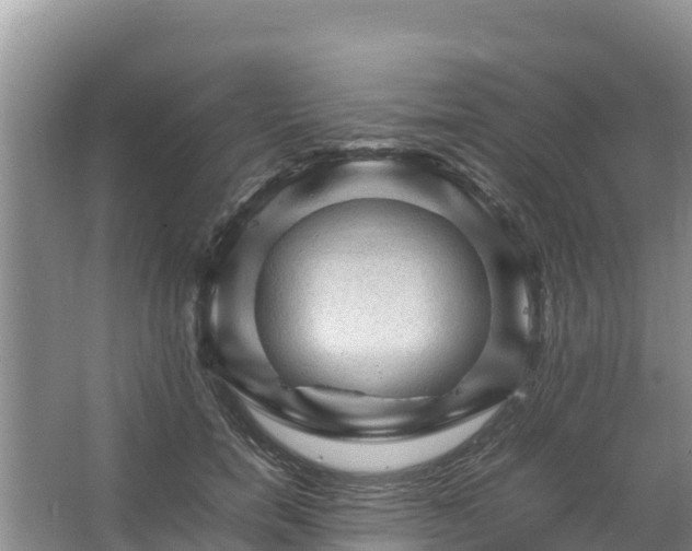 X0000067460750200604142324