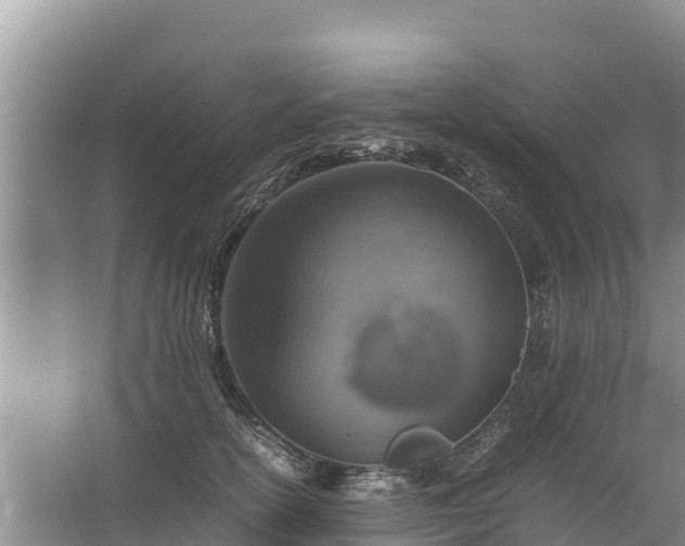 X0000067460754200604142324