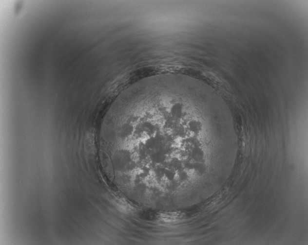 X0000067460757200604142324