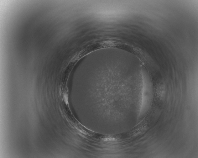 X0000067460759200604142324