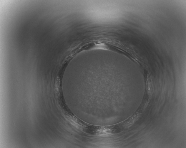 X0000067460760200604142324