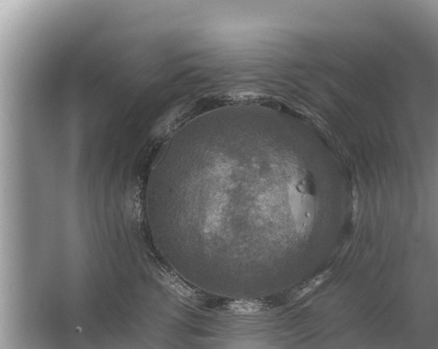 X0000067460762200604142324