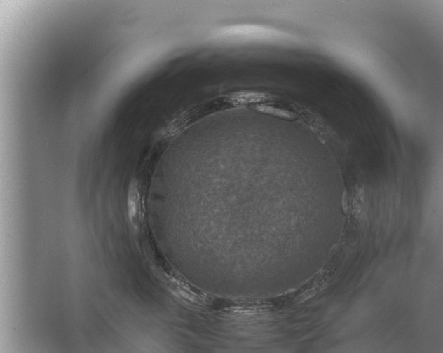 X0000067460763200604142324