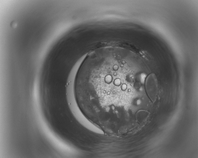 X0000067460765200604142324