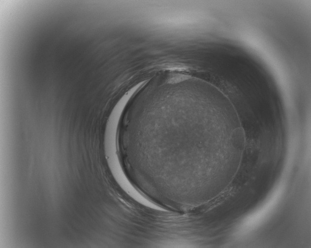 X0000067460766200604142324