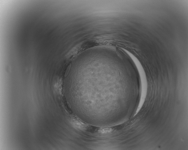 X0000067460767200604142324