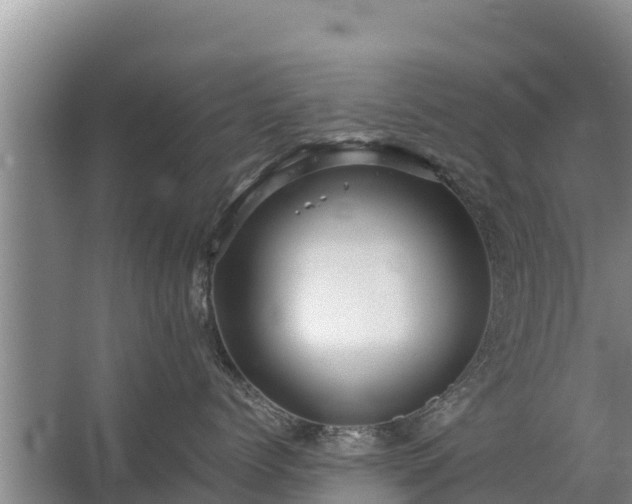 X0000067460768200604142324