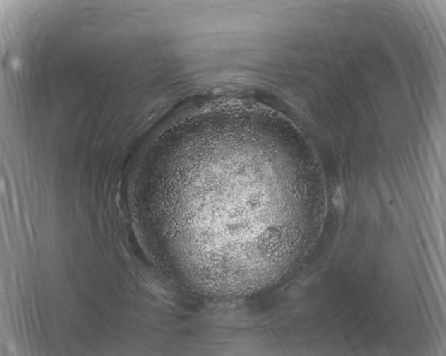 X0000067460771200604142324