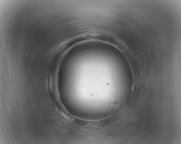 X0000067460773200604142324