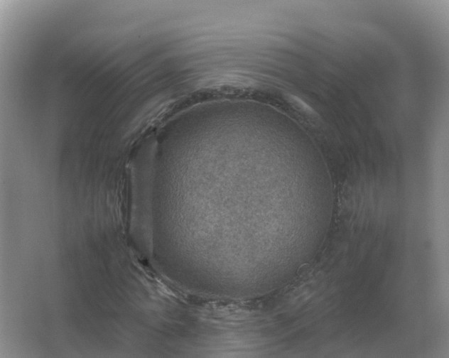 X0000067460774200604142324