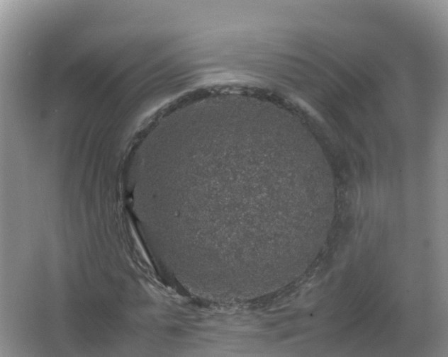 X0000067460775200604142324