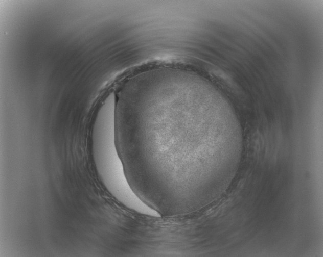 X0000067460776200604142323