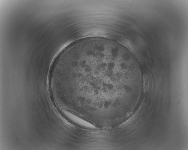 X0000067460780200604142323