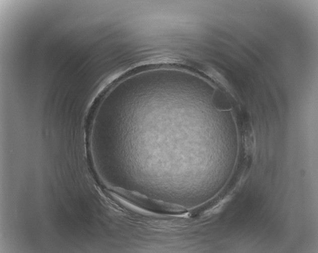 X0000067460781200604142323