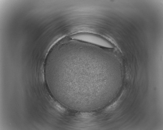 X0000067460782200604142323