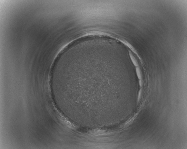 X0000067460783200604142323