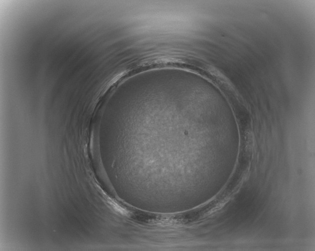 X0000067460785200604142323