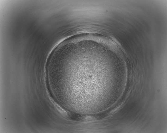 X0000067460787200604142323