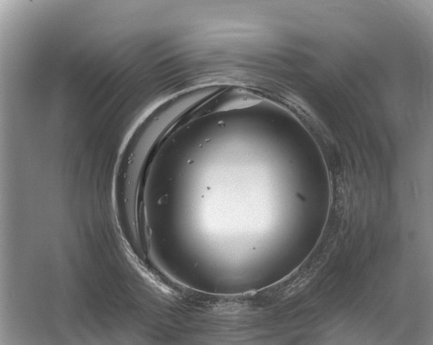 X0000067460788200604142323