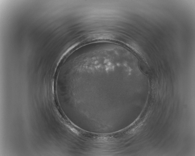 X0000067460790200604142323