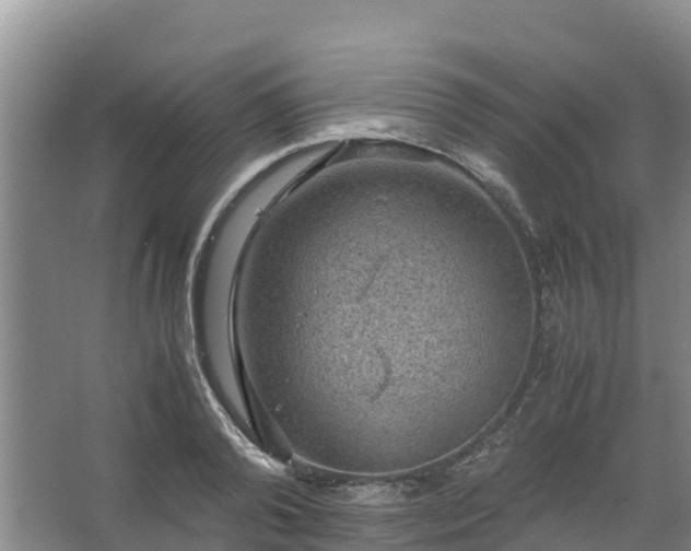 X0000067460792200604142323