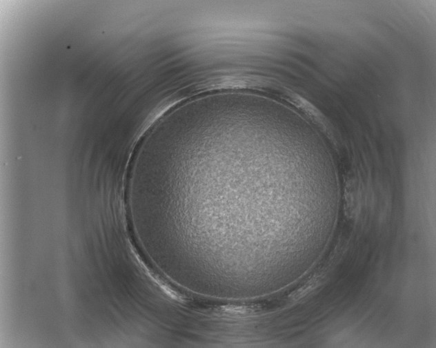 X0000067460794200604142323