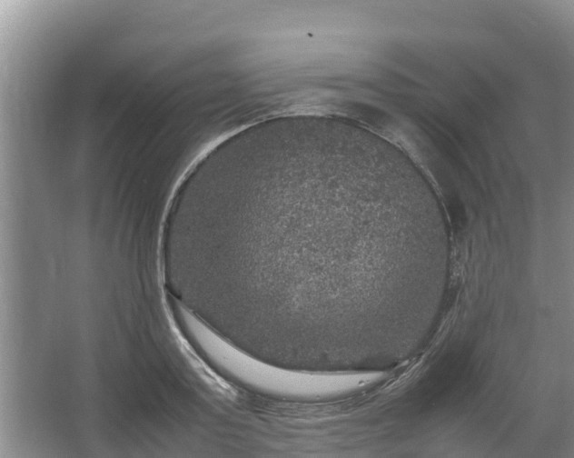 X0000067460795200604142323