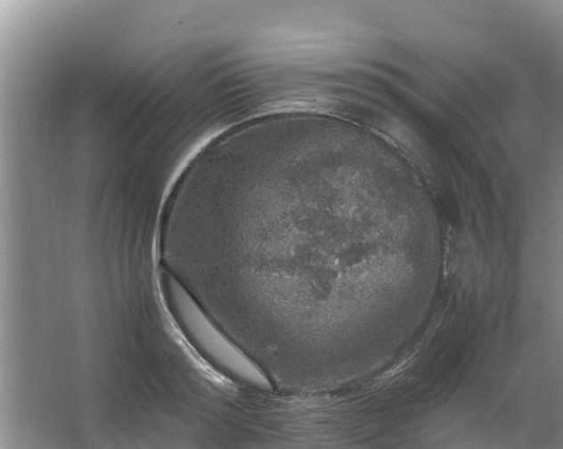 X0000067460796200604142323