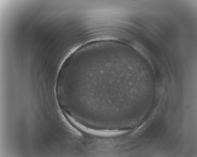 X0000067460797200604142323