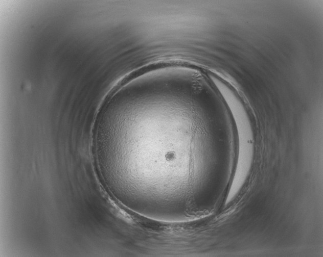 X0000067460799200604142323