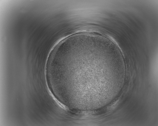 X0000067460803200604142323