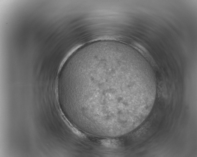 X0000067460804200604142323