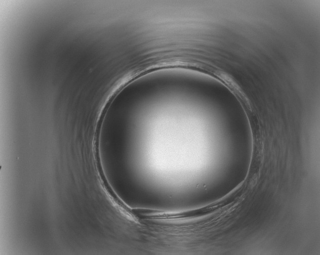 X0000067460805200604142323