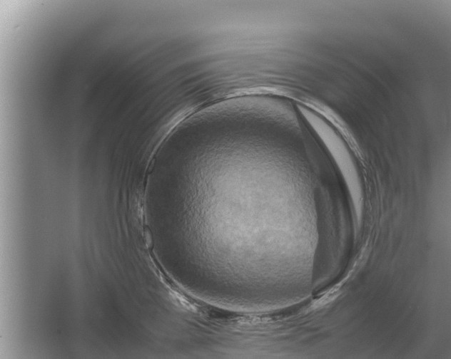 X0000067460809200604142323