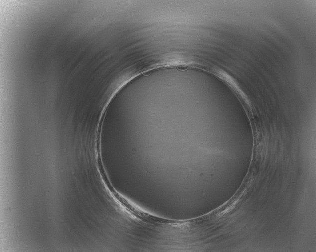 X0000067460810200604142323