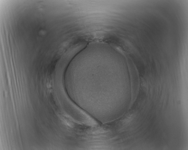 X0000067460818200604142322