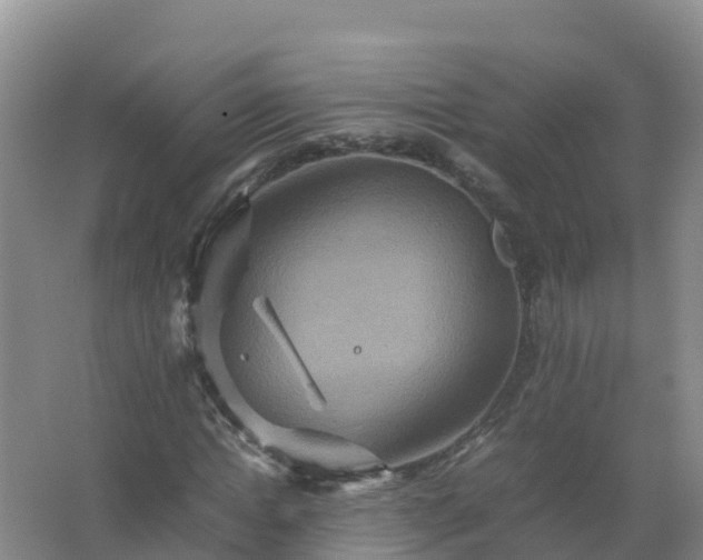 X0000067460822200604142322