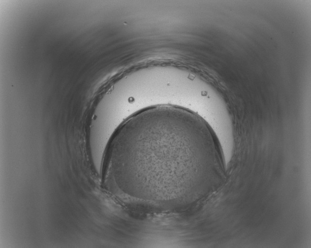 X0000067460824200604142322