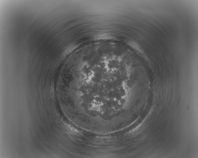 X0000067460825200604142322