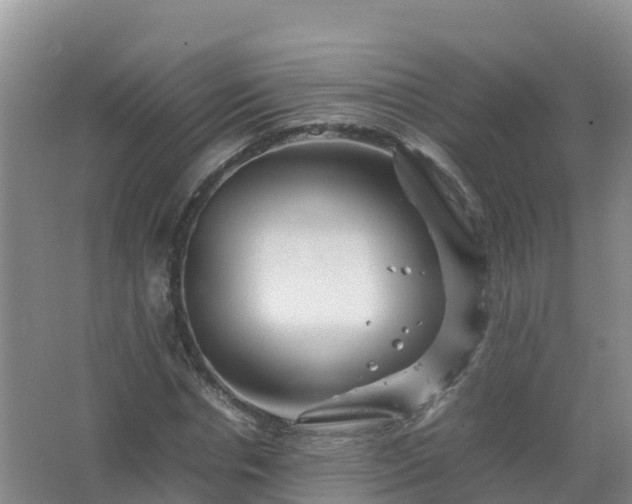 X0000067460826200604142322