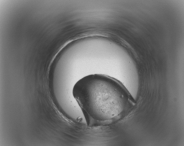 X0000067460828200604142322