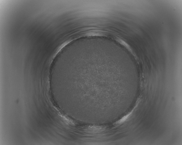 X0000067460829200604142322